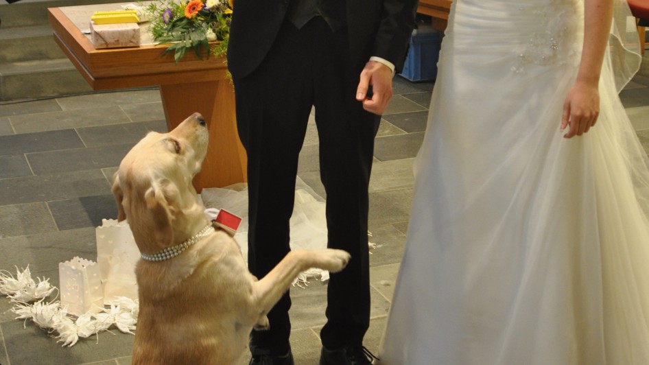 Aus Verantwortung für unsere Mitgeschöpfe