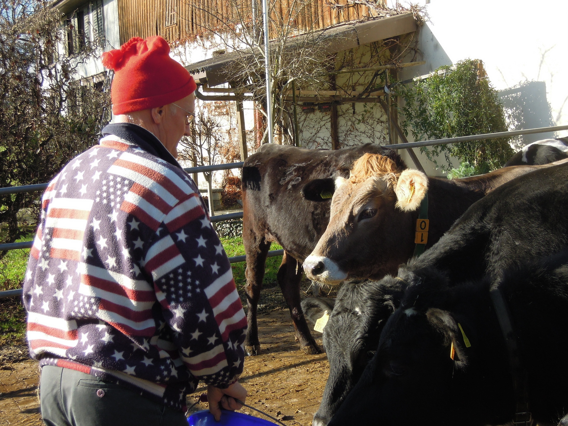 Das Wohl der Tiere hängt am Geldbeutel