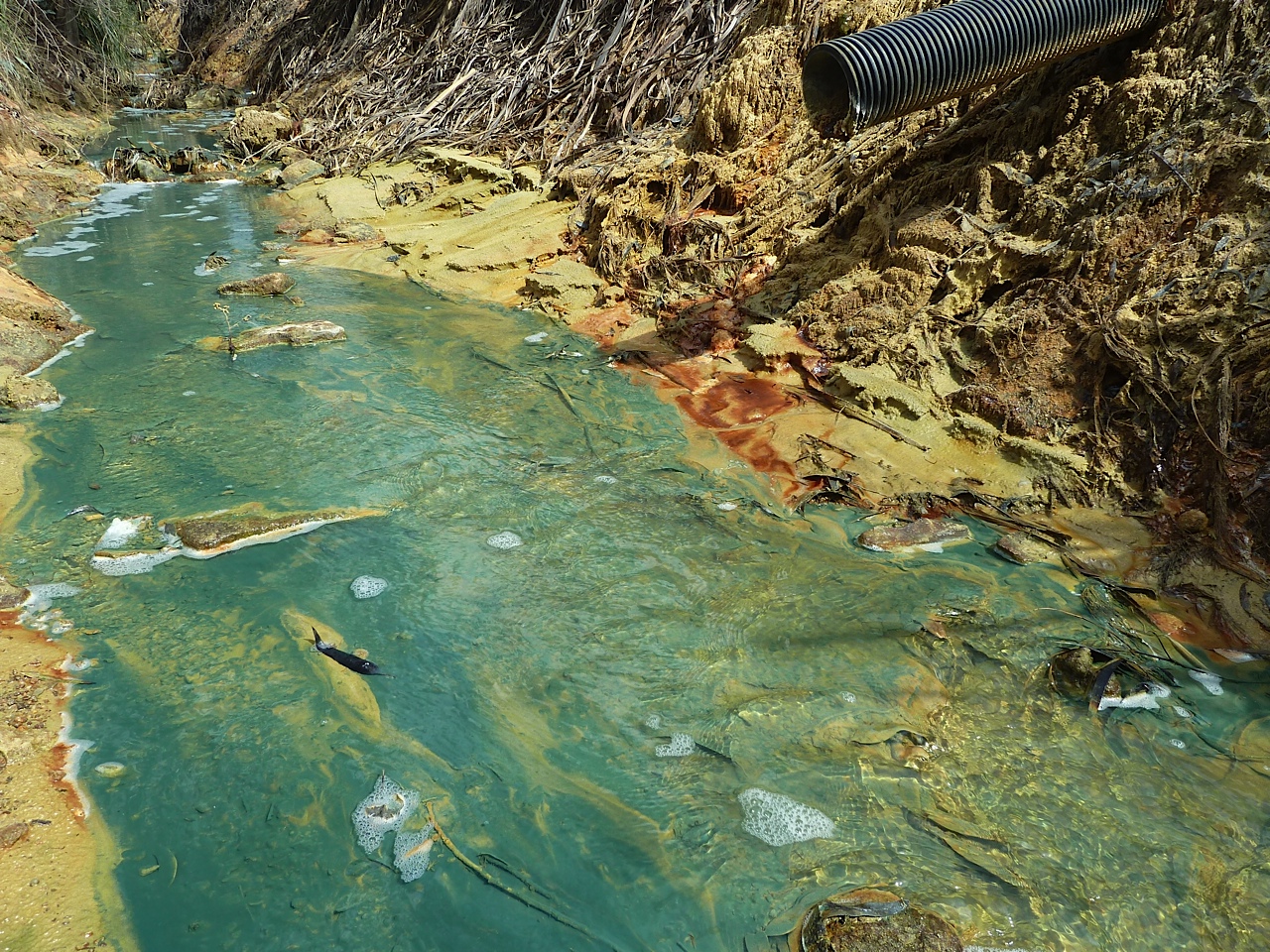 Schweizer Unternehmen in der Pflicht