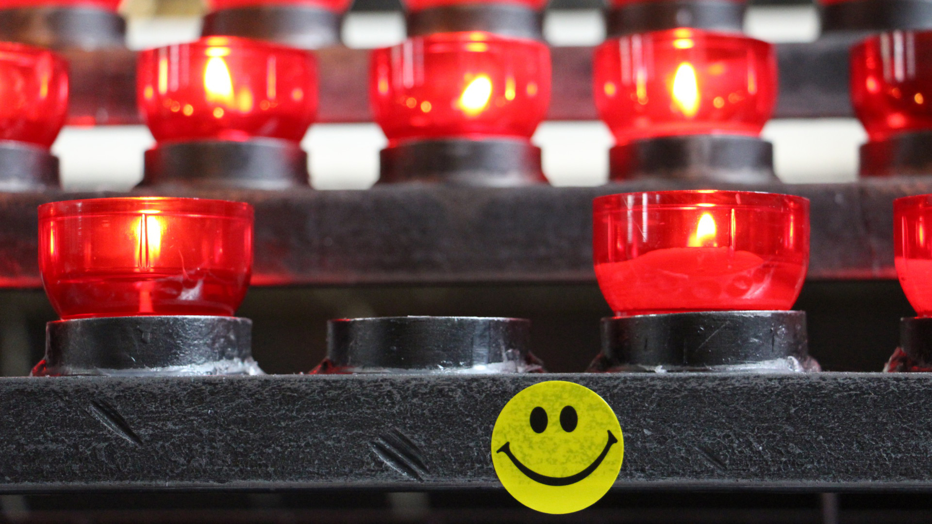 Zusammenwachsen — zusammen wachsen