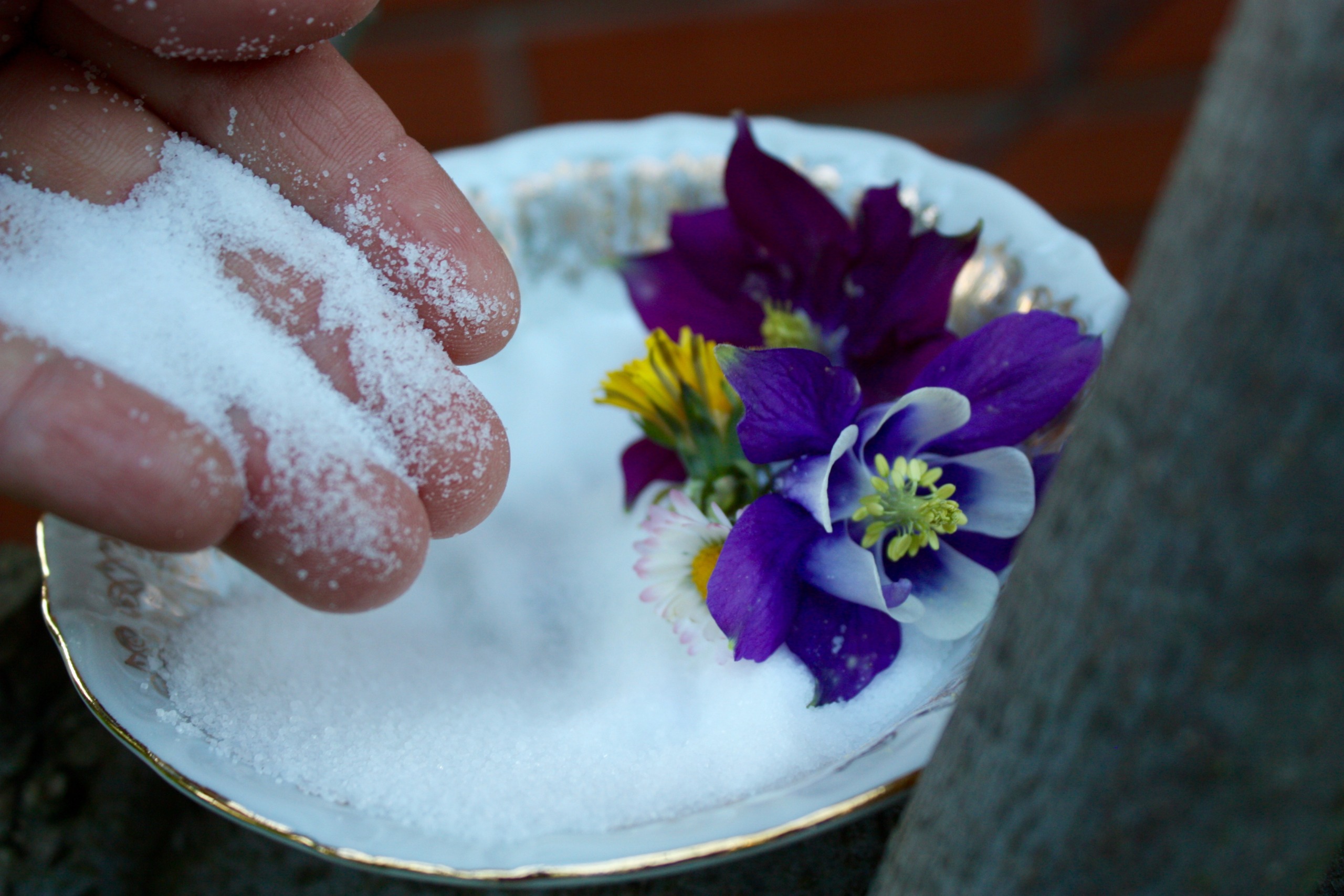 Würziges Wundermittel