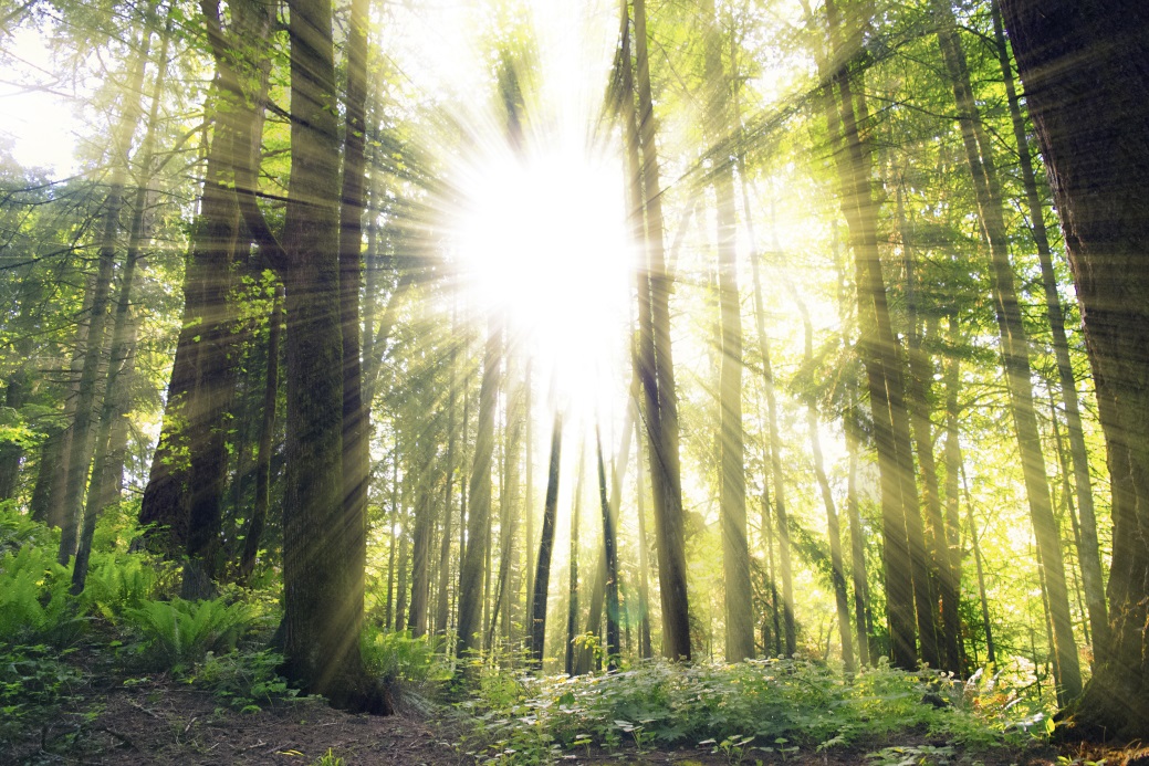 erinnern – trauern — aufbrechen