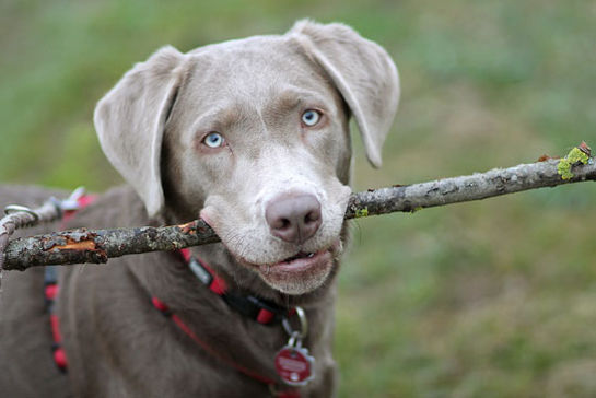 Vom Suchen und Gerufen-Werden