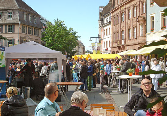 Der KIRK 2018 am 5. Mai in Mulhouse hat ein Programm für Gross und Klein