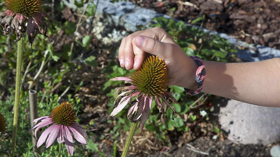 Spürst du die Schöpfung?