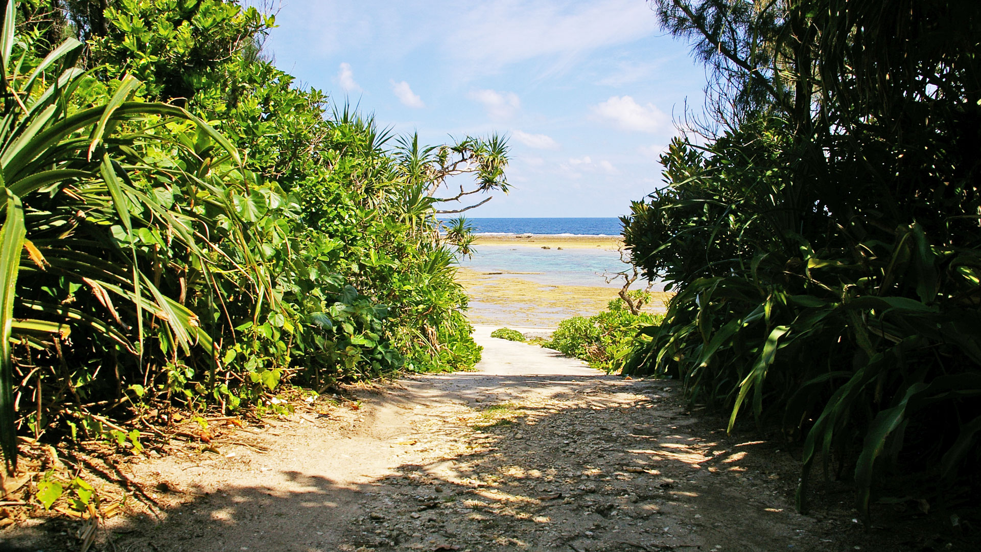 Auf der Suche nach der Wahrheit