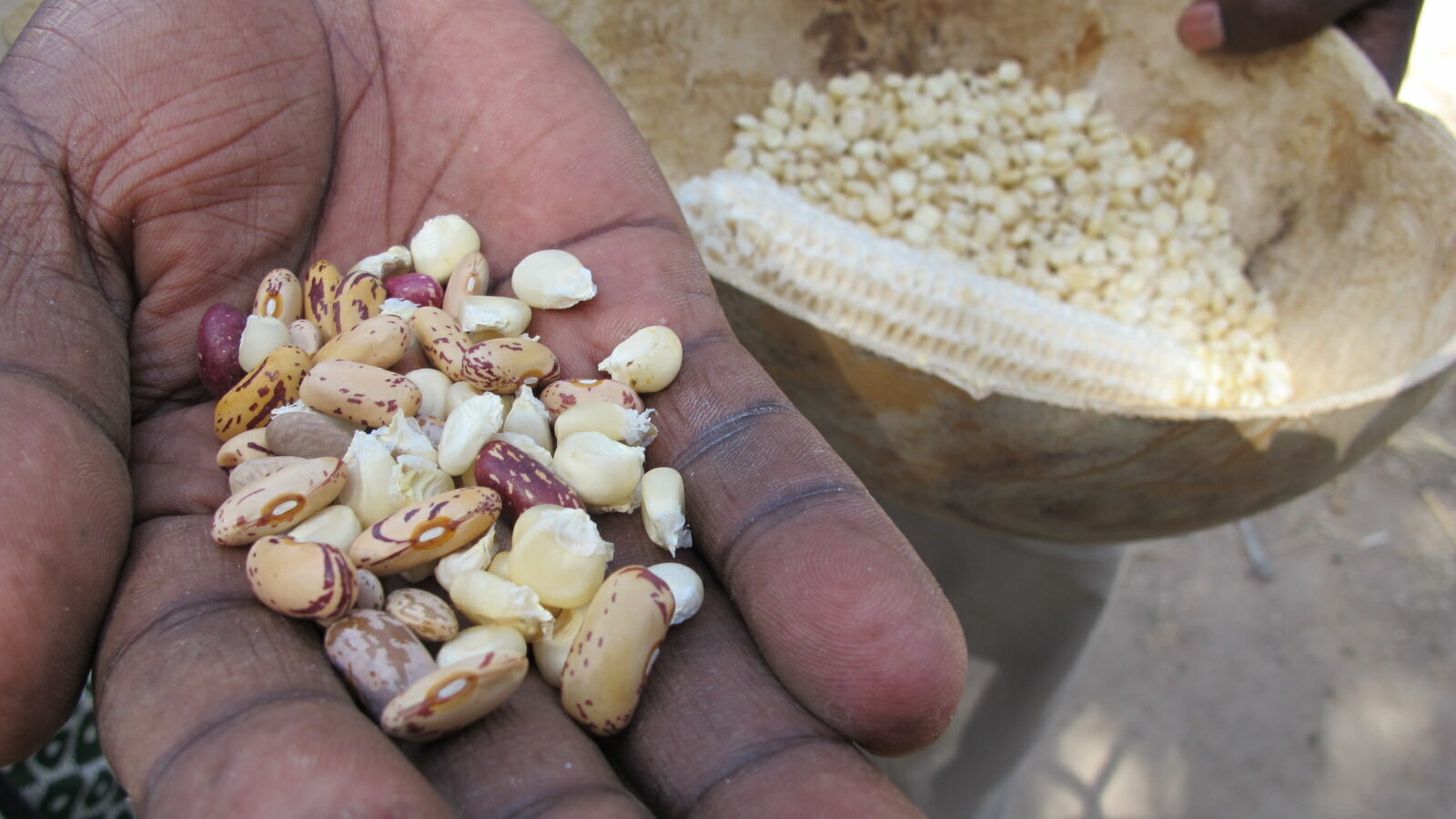 Fastenopfer rechnet mit hohen Spendenausfällen