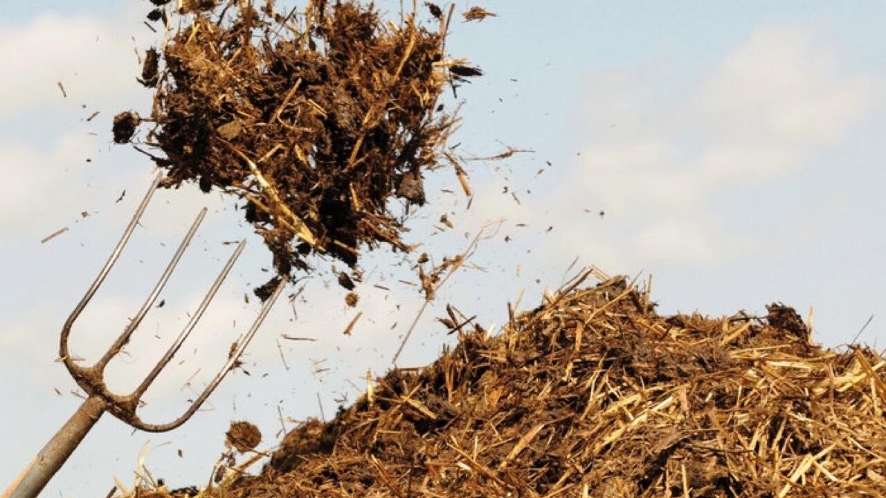 Was der Bauer (nicht) glaubt, das erntet er