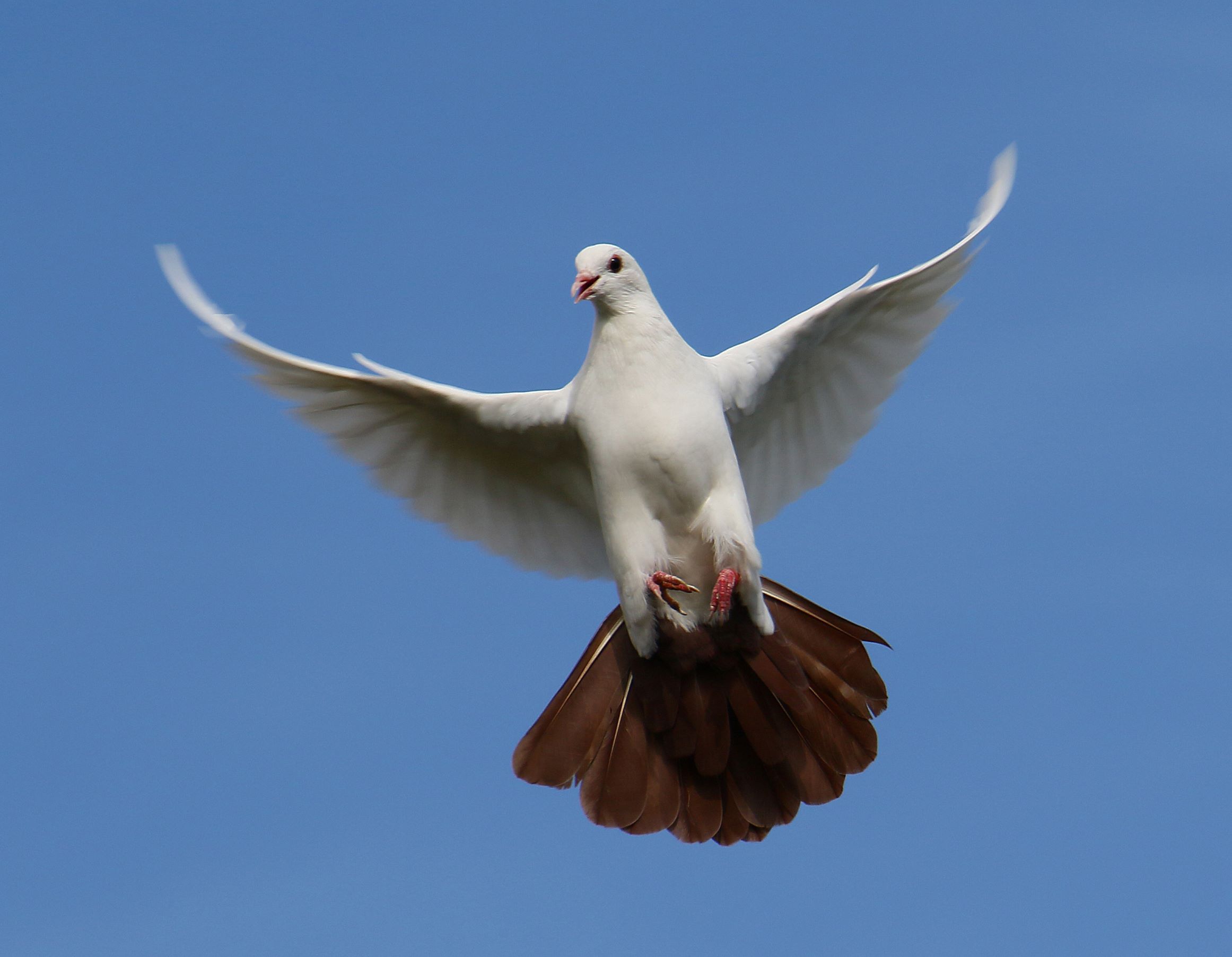 Zwischen Stürmen und Rettung