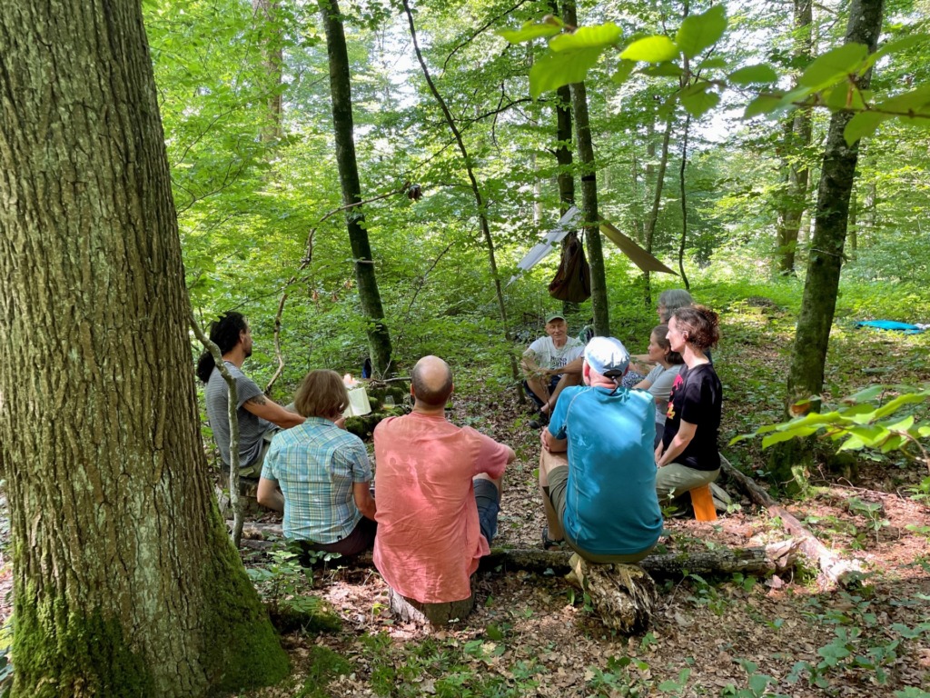 Im Waldkloster - Lichtblick Römisch-katholisches Pfarrblatt der Nordwestschweiz 7