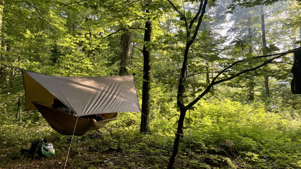 Im Waldkloster - Lichtblick Römisch-katholisches Pfarrblatt der Nordwestschweiz