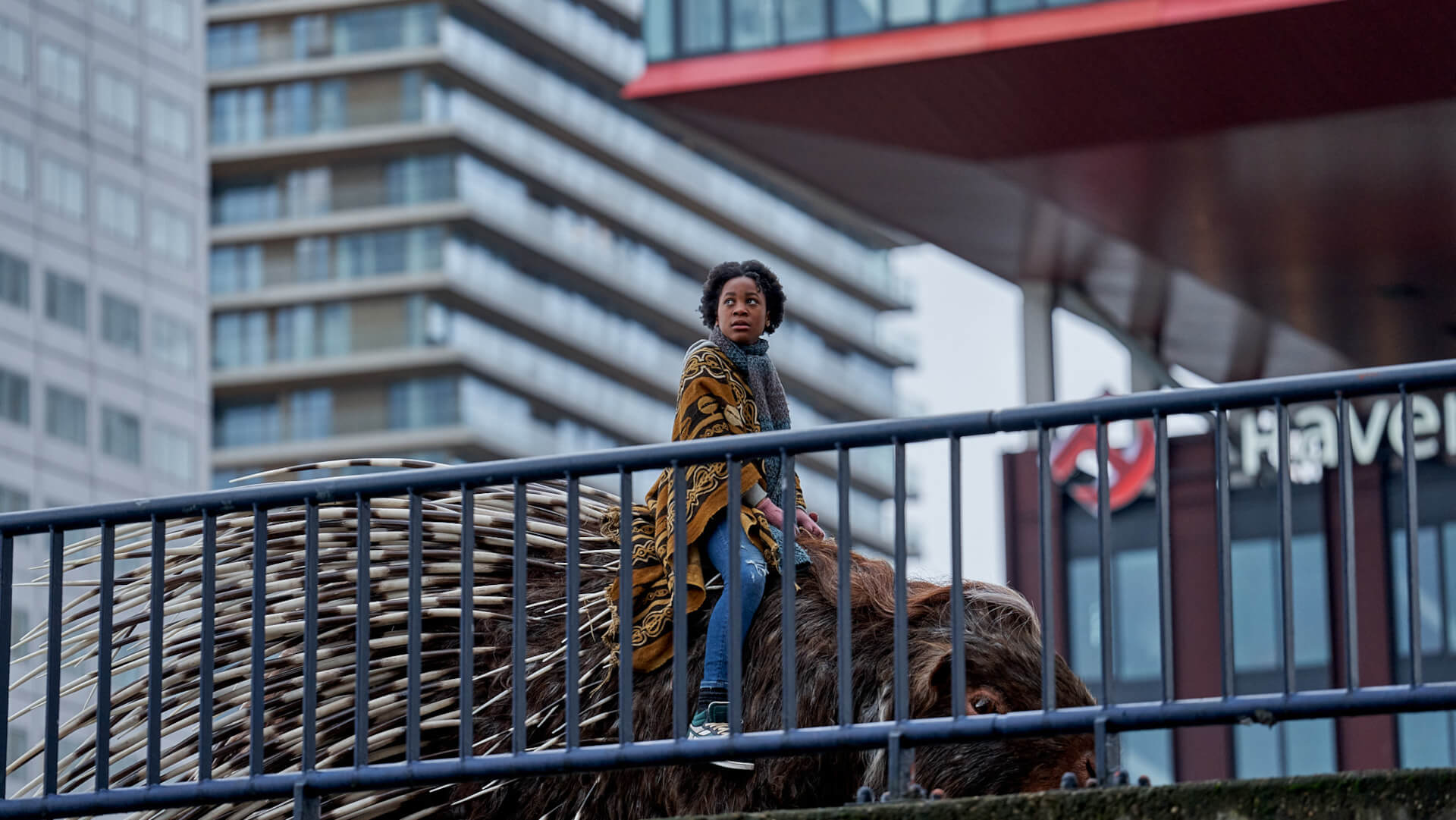 Mein Totemtier und ich