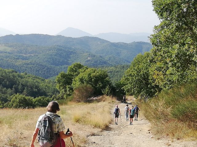 Eine Pilgergruppe spirituell leiten und begleiten