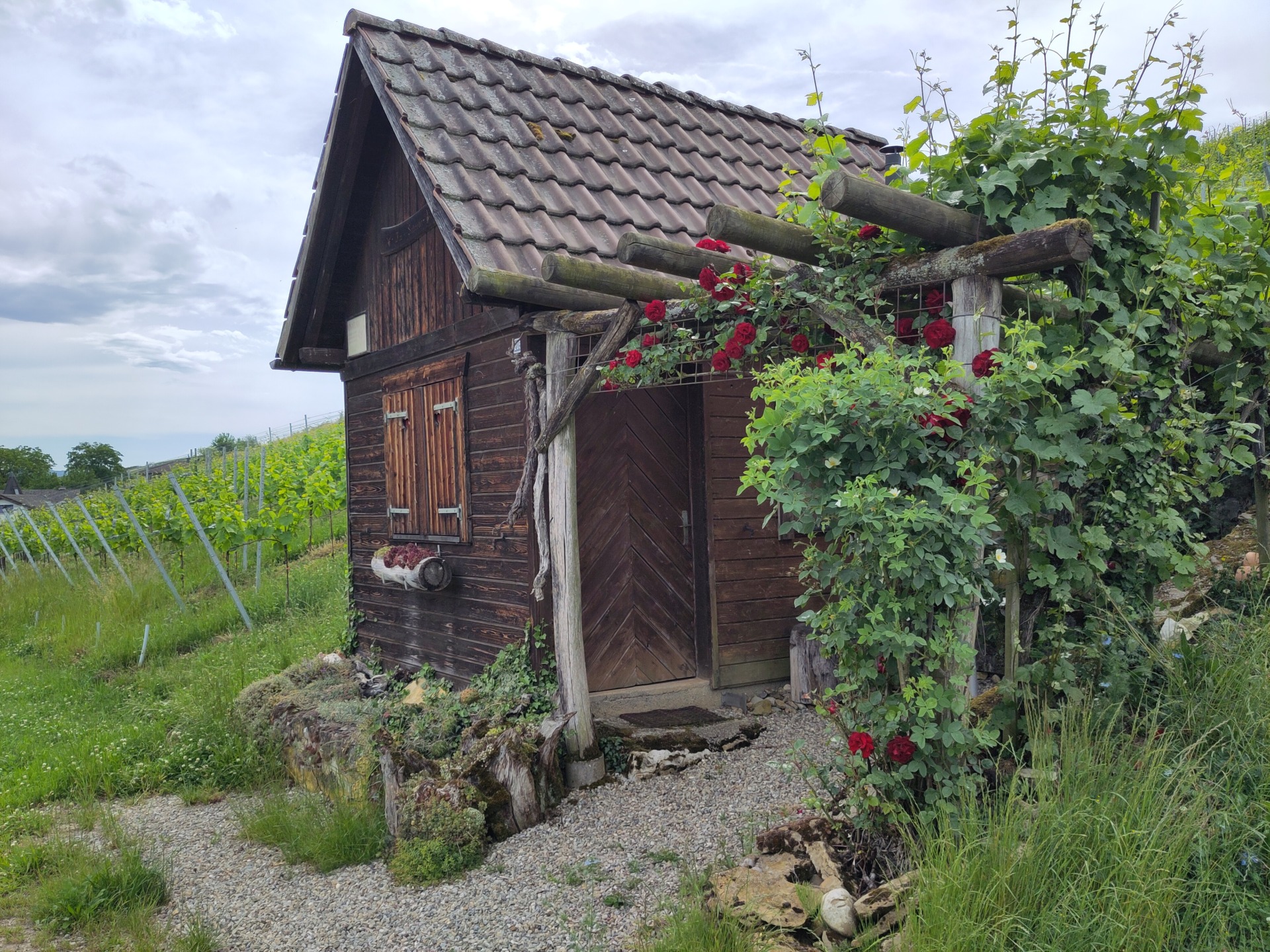 Sommerserie: Unterwegs im Klettgau