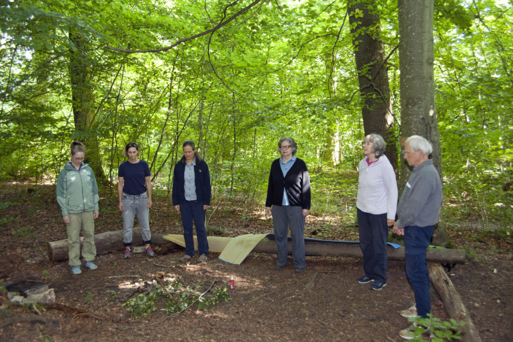 Im Waldkloster auf der Suche nach dem Göttlichen - Lichtblick Römisch-katholisches Pfarrblatt der Nordwestschweiz 3