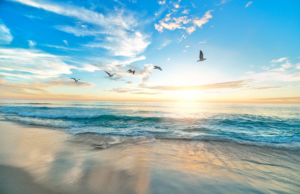 Wir feiern
Allerheiligen & Allerseelen