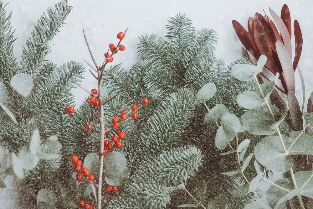 Unsere Adventsfeiern