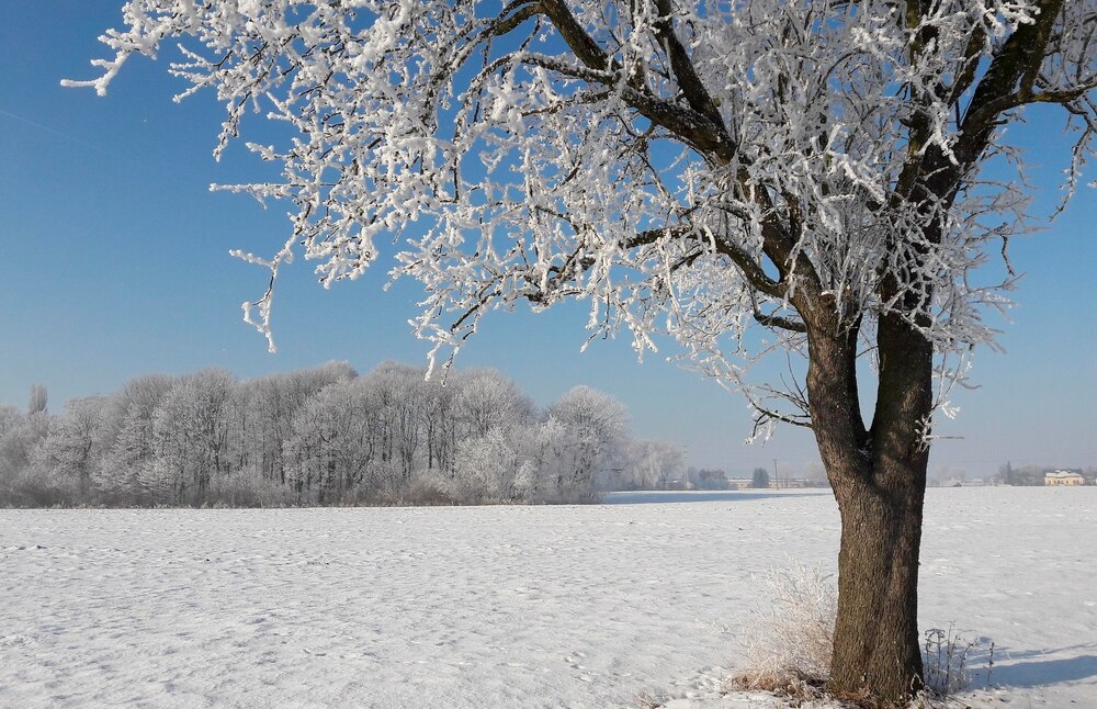 Licht in der Winterzeit