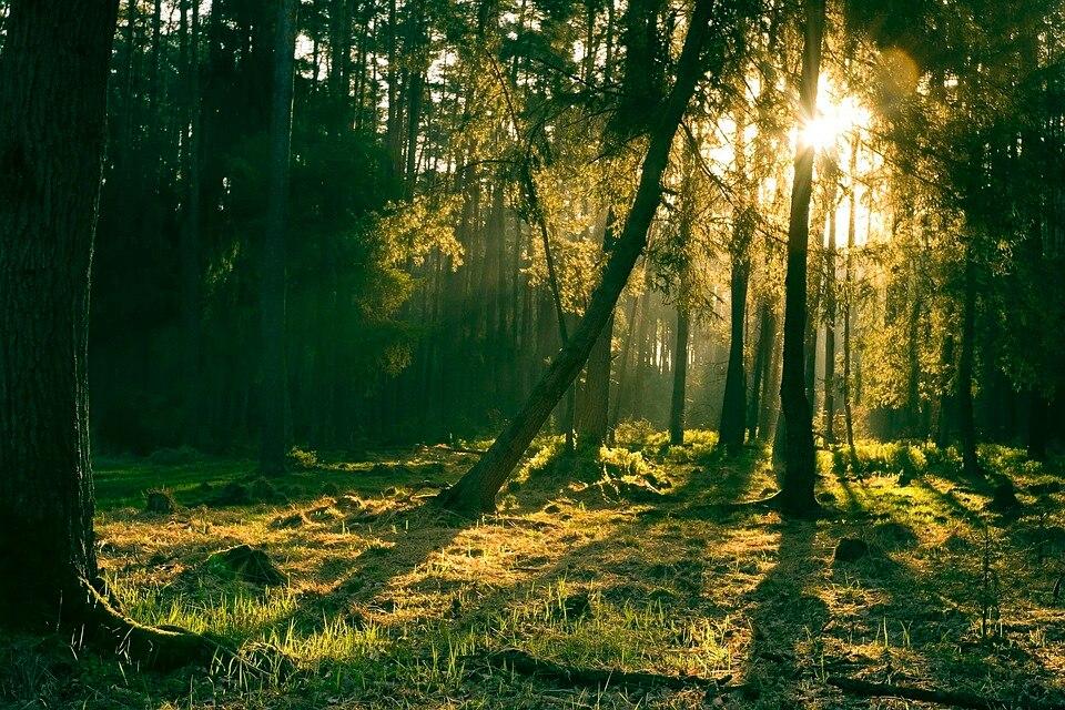 Nachgedacht:
Christus unser Licht