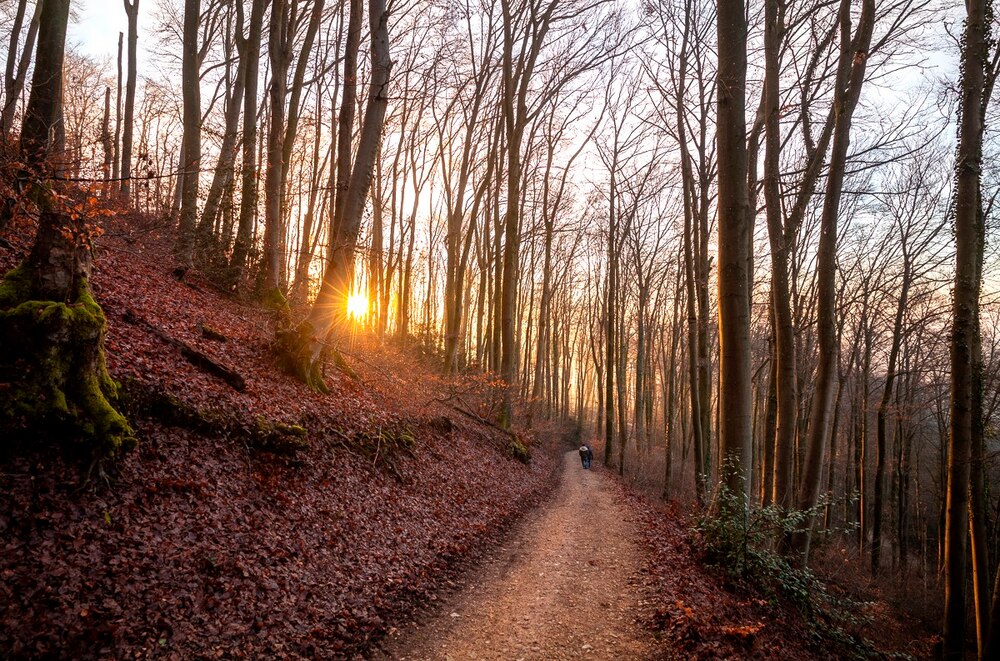 Pilgern – Wunder vor der Haustür