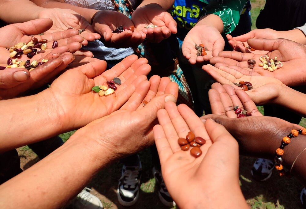 Zukunft säen — doch wer bestimmt, was gesät wird?