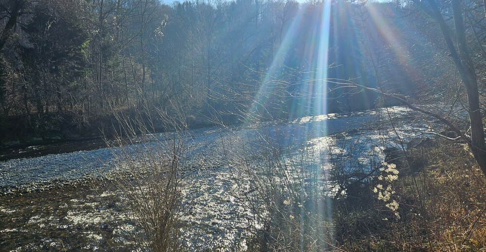 Ein Sonnenstrahl reicht hin, um viel Dunkel zu
erhellen.