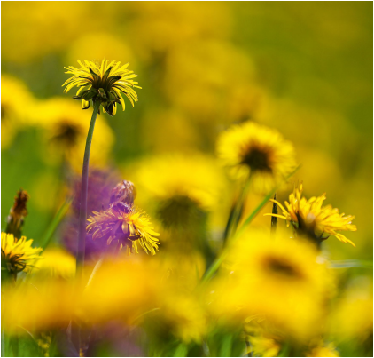 Spiritual Care und existentielle Begleitung