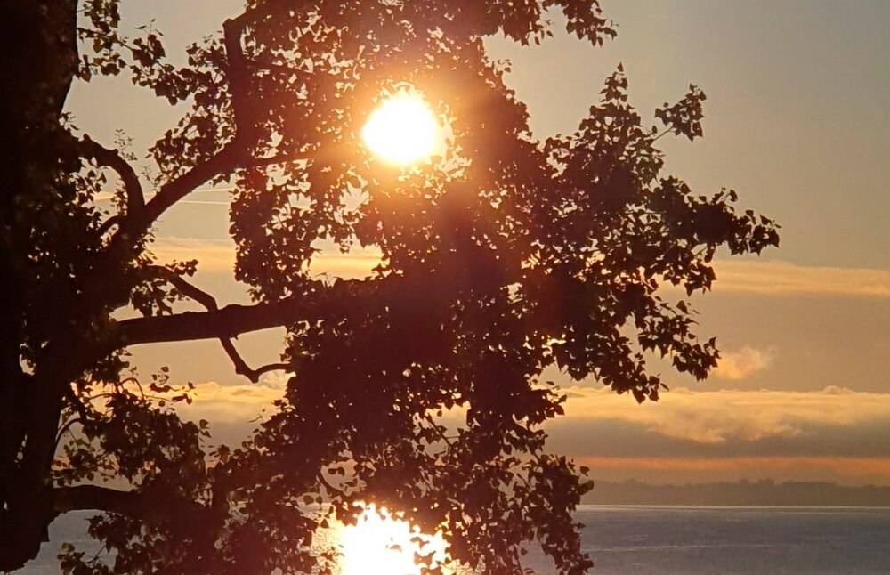 Steh auf!
Ostergruss 2026