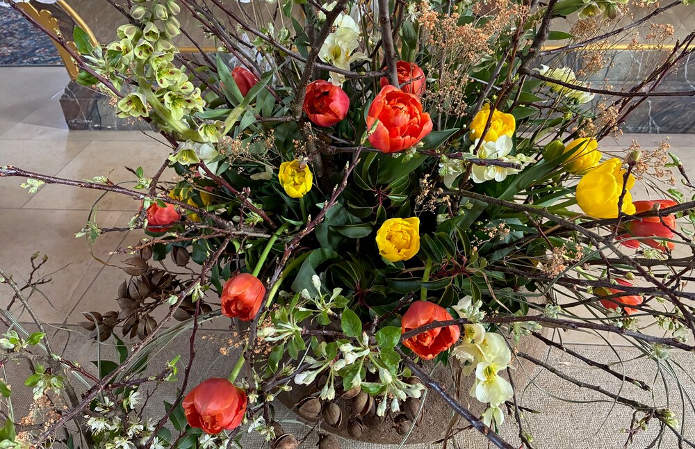 Glückwünsche zum Geburtstag