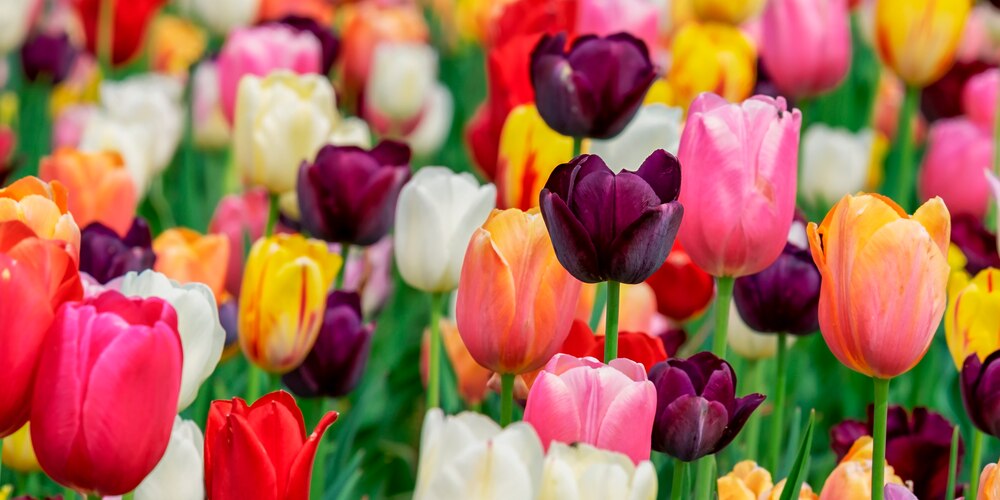 Wir gratulieren herzlich