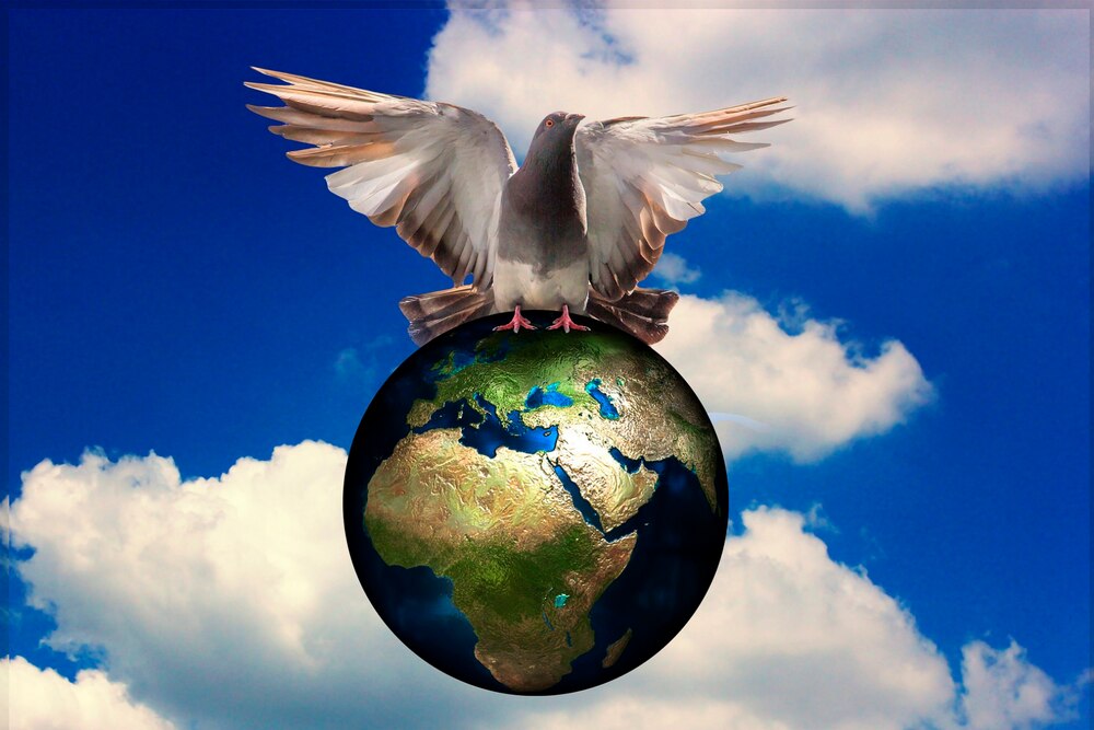 Nachgedacht: 			über den Frieden