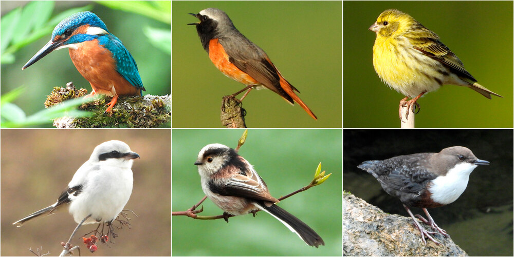 Horizonte Seniorennachmittag