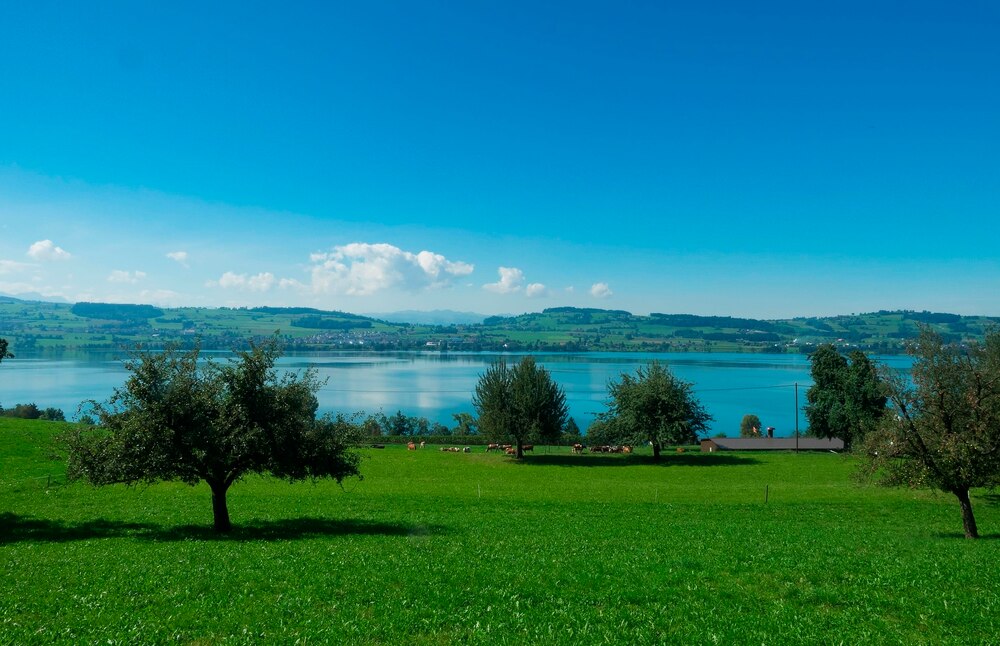 Frauenbundreise rund um den Sempachersee