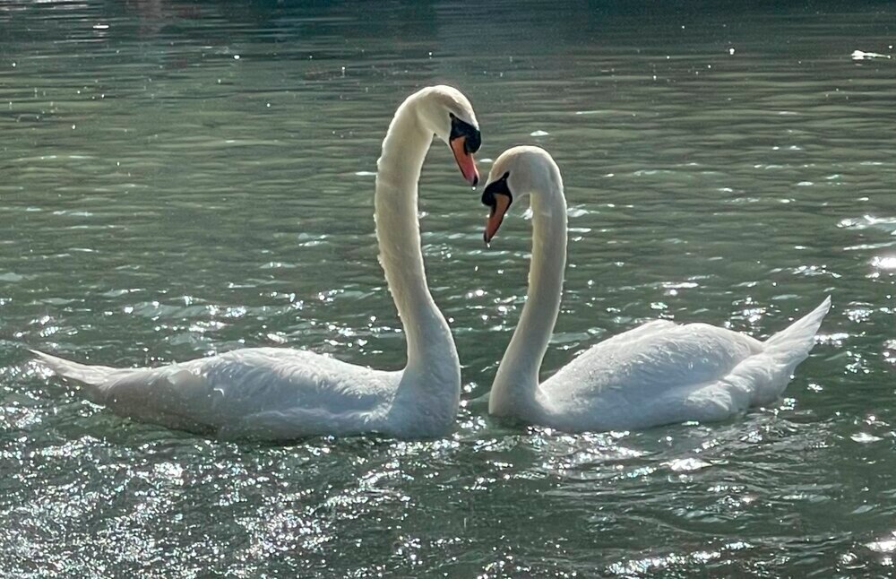 Gedanken