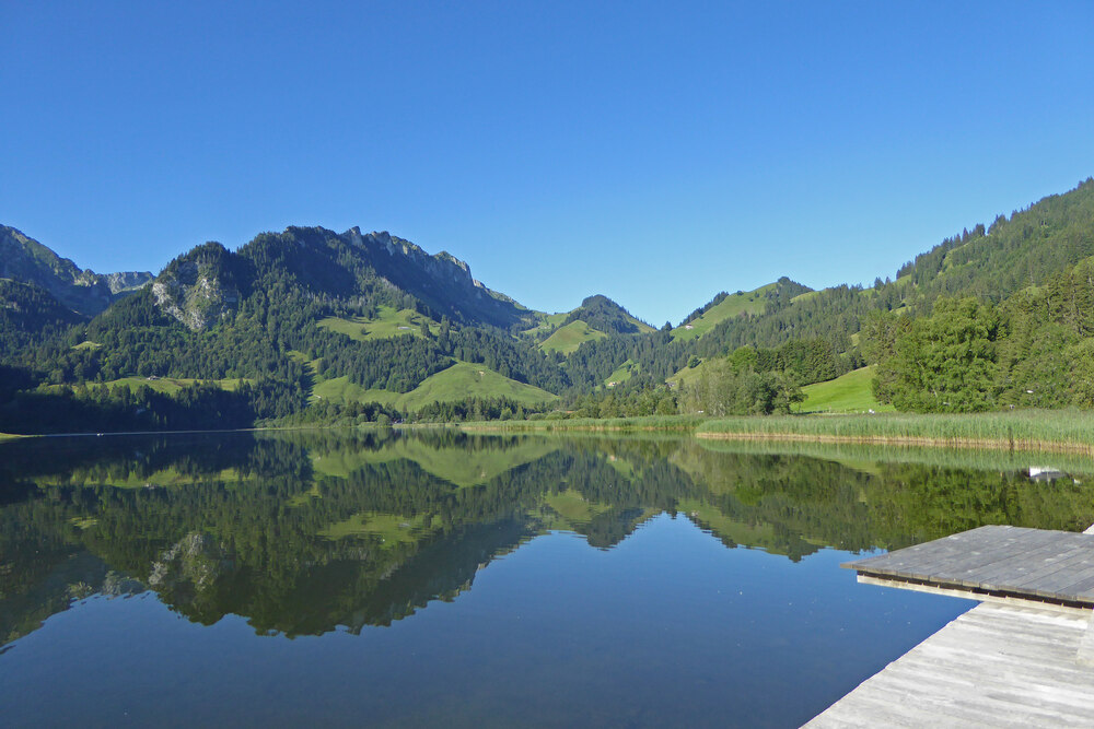 Gemeinsamer Jahresausflug