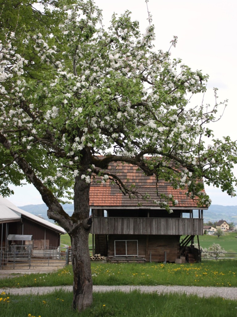 Theaterstück mit Tiefgang und Weitblick - Lichtblick Römisch-katholisches Pfarrblatt der Nordwestschweiz 4