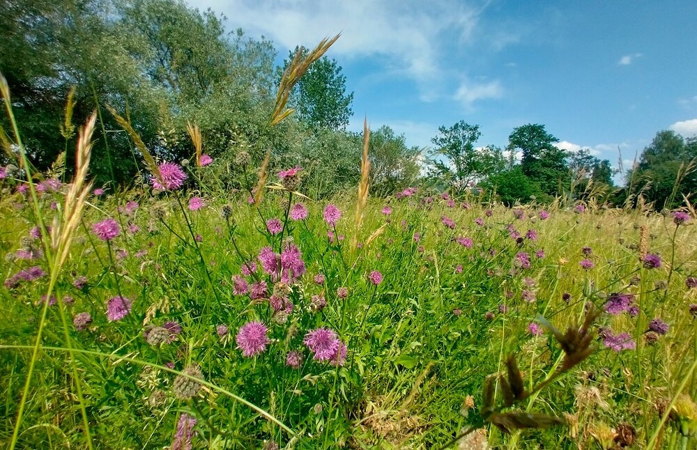Sommerzeit