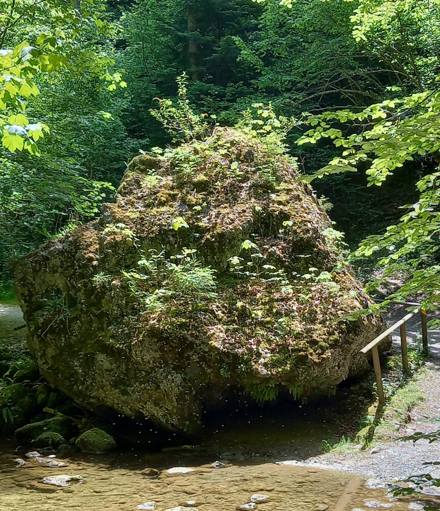 5. Rentierwanderung
Mittwoch, 1. Juli