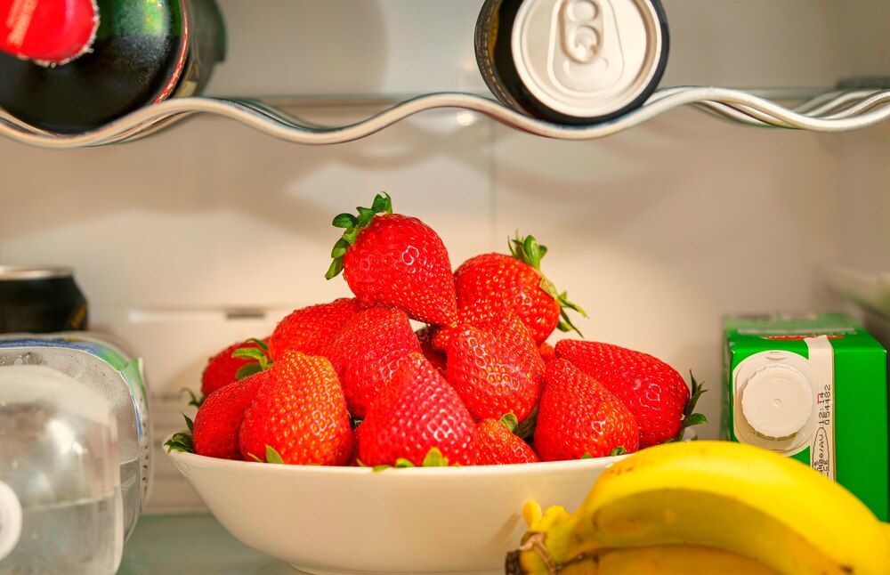 Madame Frigo