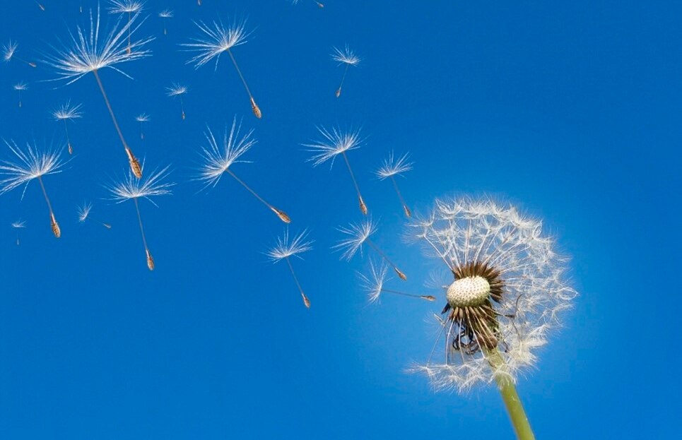 Sommerreihe: Erschöpfung – Schöpfung – Erschaffen
