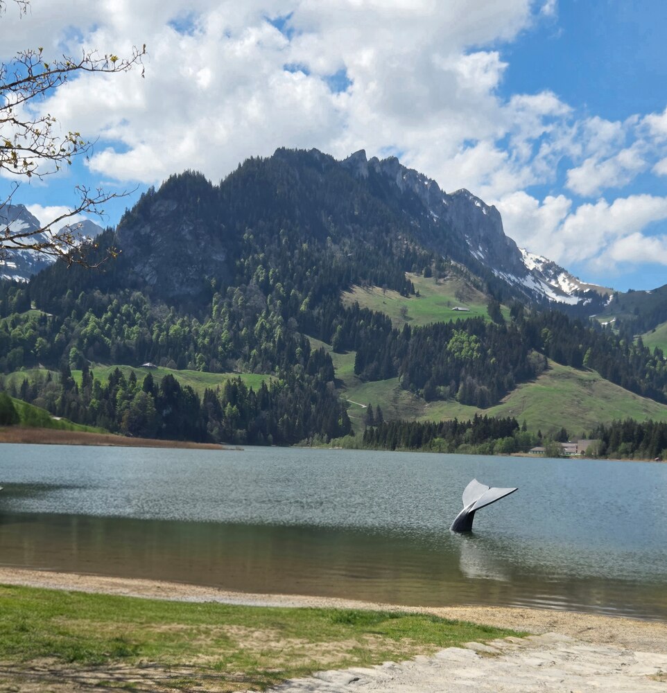 Jahresausflug der Frauenvereine