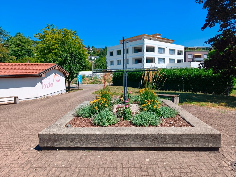 Unser Brunnen beim Töndler