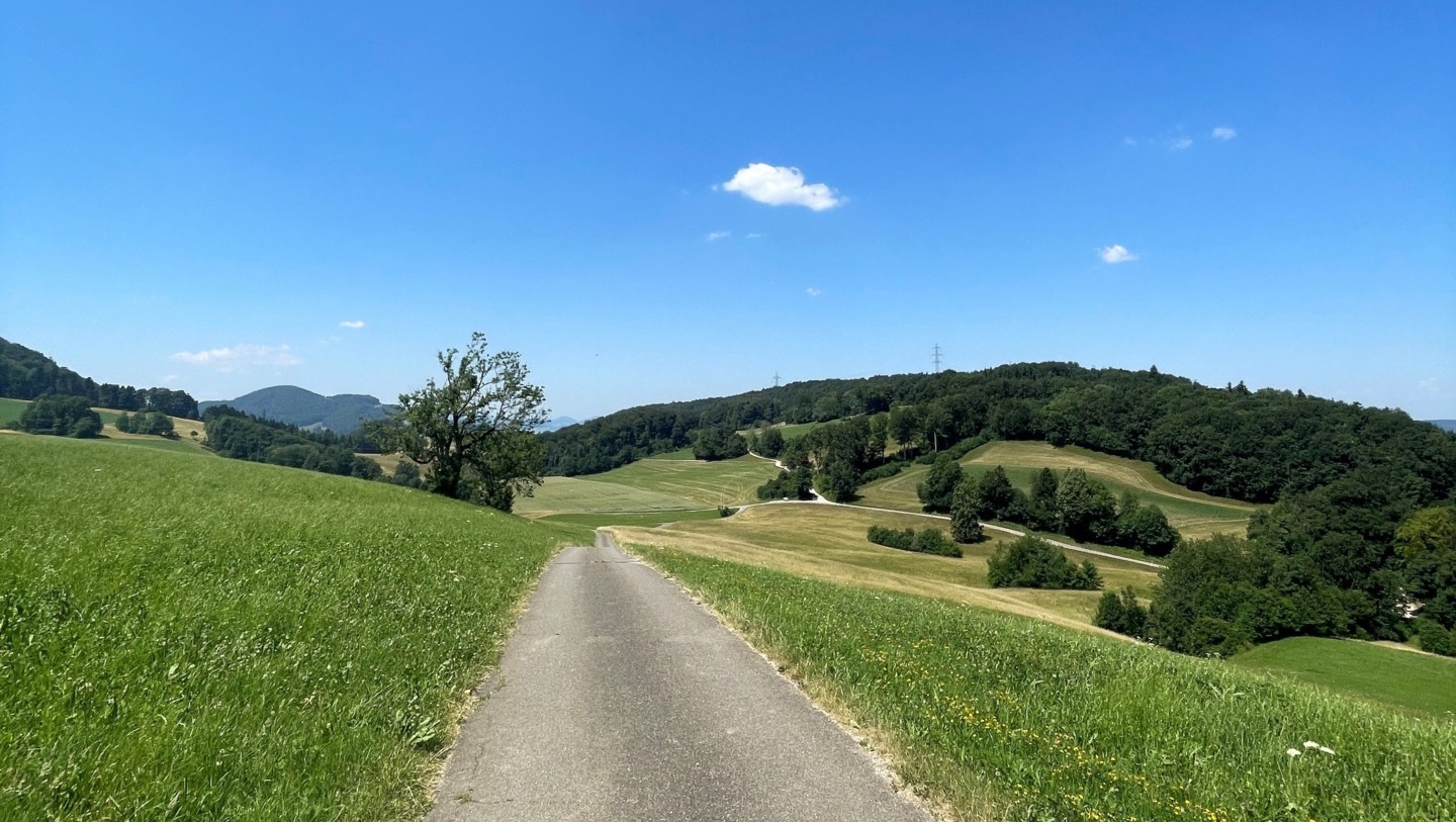 Allein auf weiter Flur