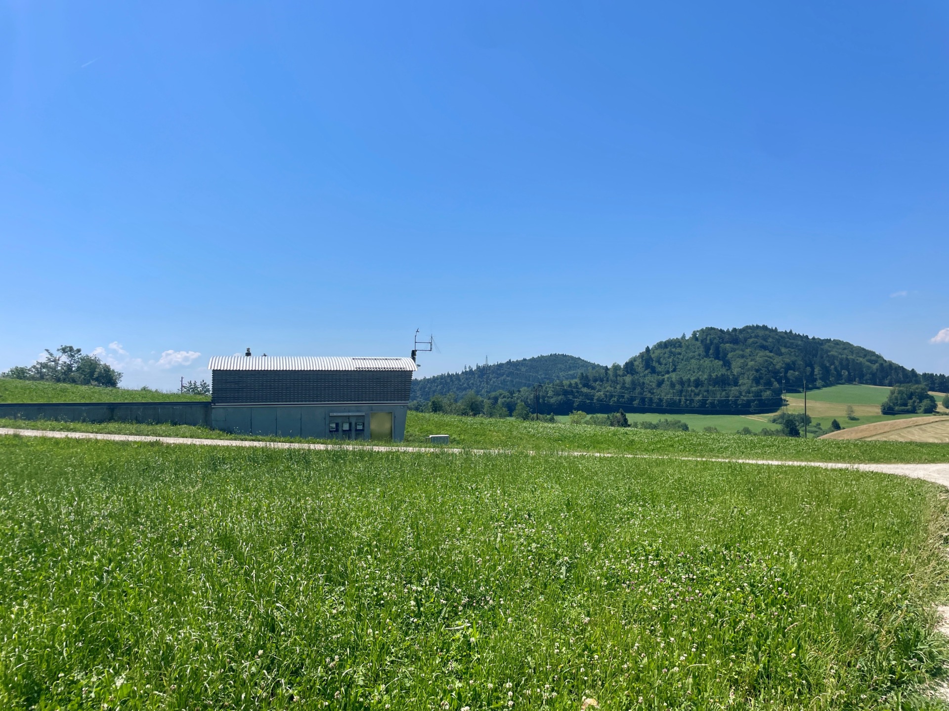 Allein auf weiter Flur - Lichtblick Römisch-katholisches Pfarrblatt der Nordwestschweiz 6