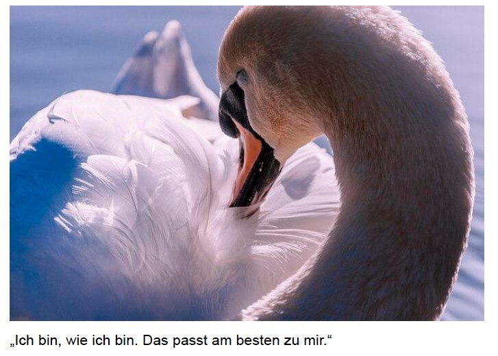 MorgenTau