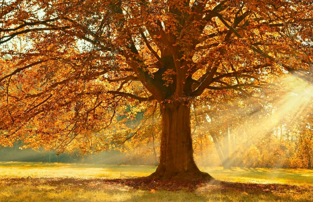 Jahrzeit Oktober