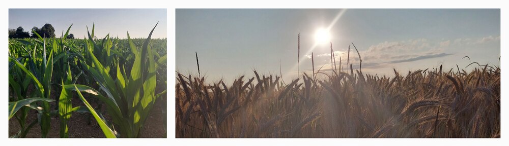 Ausblick