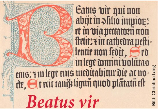 Artikel