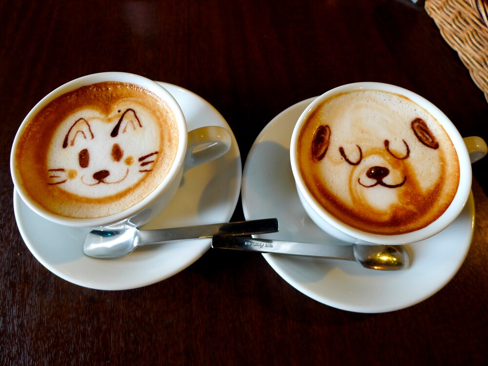 SprachCafé