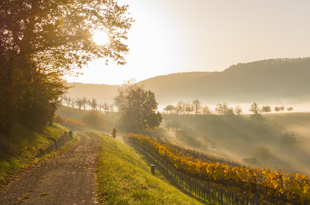 Jahreszeiten-Pilgern zum Herbst